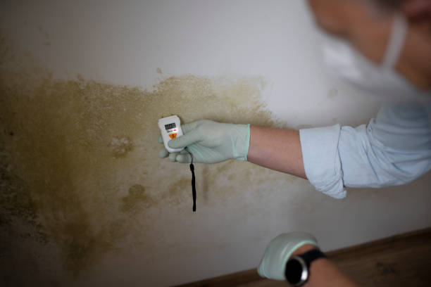 Water Damage Restoration in Eton, GA